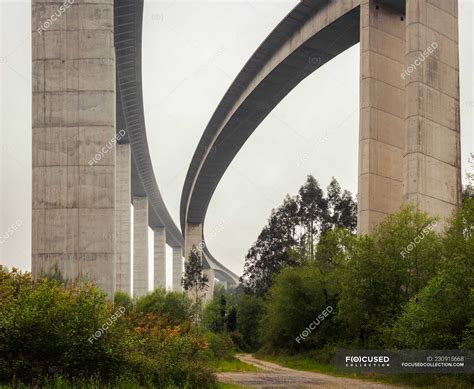 Beautiful white viaduct with trees below — vegetation, summer - Stock ...