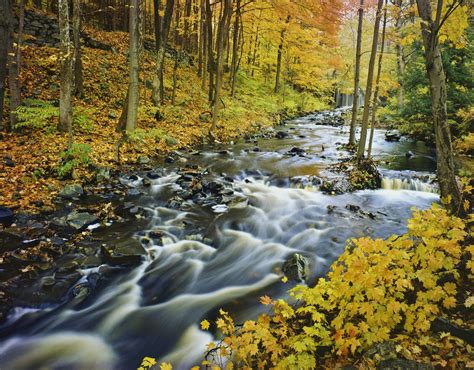 Some of the Best Ways to Explore Green Mountain National Forest | GetAway Vacations | Killington ...