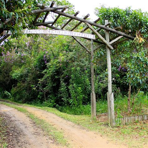 Parque Estadual Campina do Encantado (Pariquera-Acu) - Lo que se debe ...