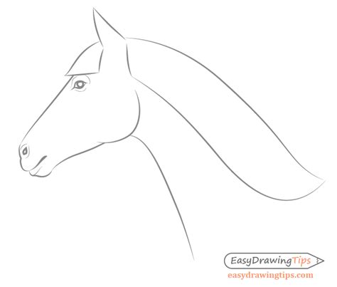 How to Draw a Horse From the Side View Tutorial - EasyDrawingTips