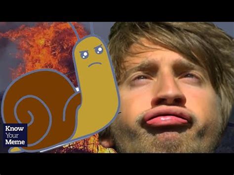 Immortal Snail | Know Your Meme