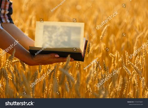 Christian Woman Praying On Holy Bible Stock Photo 1772975801 | Shutterstock