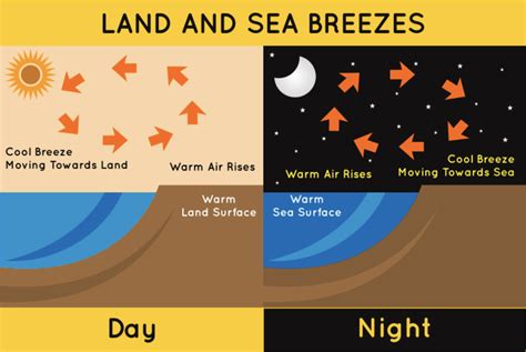 Difference Between Land Breeze and Sea Breeze | Difference Between