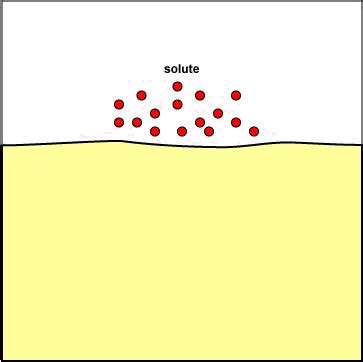 Endocytosis Animation