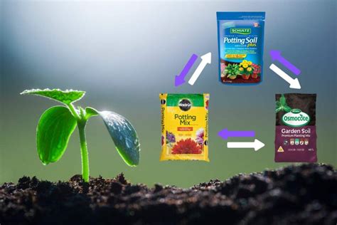 Can You Mix Potting Soil: How to Make Richer Potting Medium - Flourishing Plants