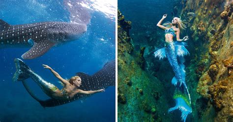 A Real-Life Mermaid Who Swims With Sharks Using Her Fish Tail And Holds Breath For 2 Minutes ...