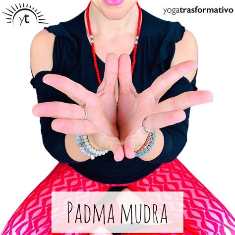 Padma Mudra | Corso Insegnanti Yoga