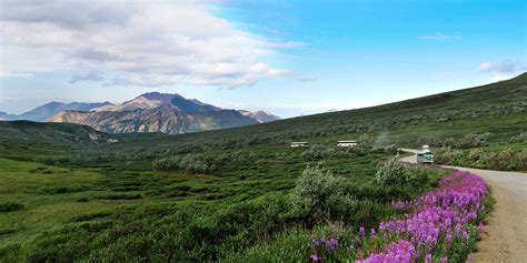 The Denali Tour Experience | Denali National Park & Preserve AK ...