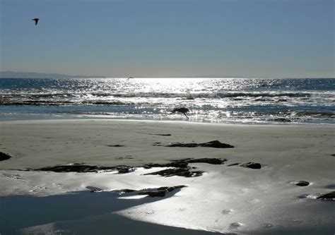 Arroyo Burro Beach, Santa Barbara, CA - California Beaches