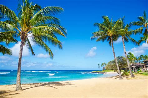 The 5 Best Hawaiʻi Island Beaches in 2024