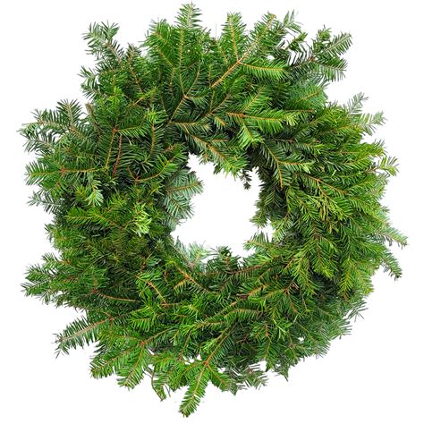 24" Fresh Plain Balsam Fir Wreath | Van Putte Gardens