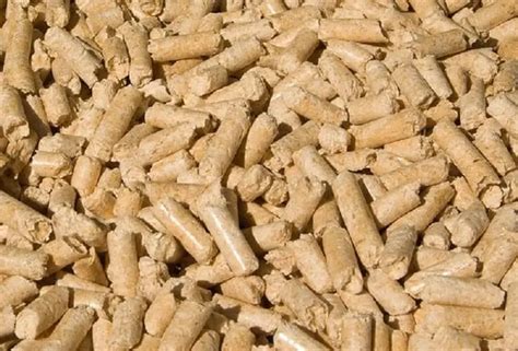 8 Best Wood Pellets for Stove: A Detailed Guide