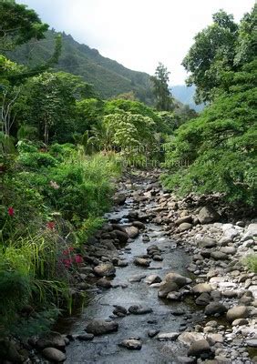 Maui: Iao Valley State Park and Our Hike to See the Famous Iao Needle