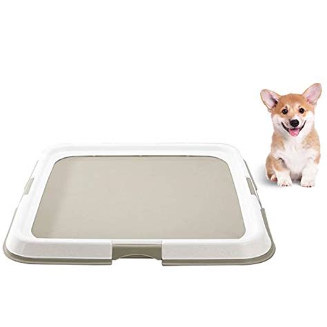 7 Best Puppy Pee Pad Holder Trays, Toilets and Litter Boxes of 2020