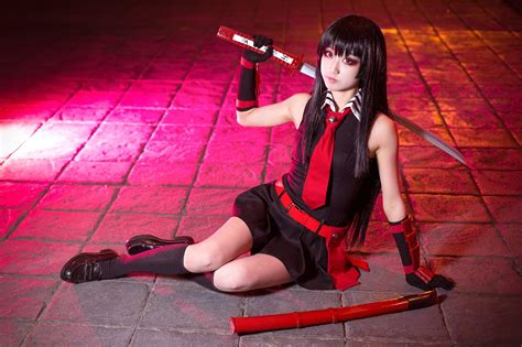 Silver katana with sheath, cosplay, Akame ga Kill!, Akame HD wallpaper | Wallpaper Flare