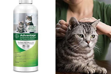 Flea Shampoo for Cats: 5 Best of 2021 for Cats & Dogs [Quick Relief]