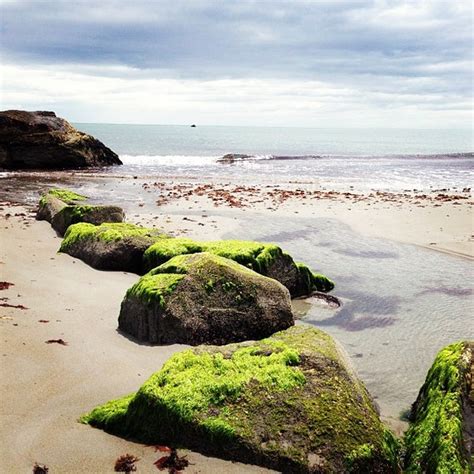 Scarborough State Beach - Beach