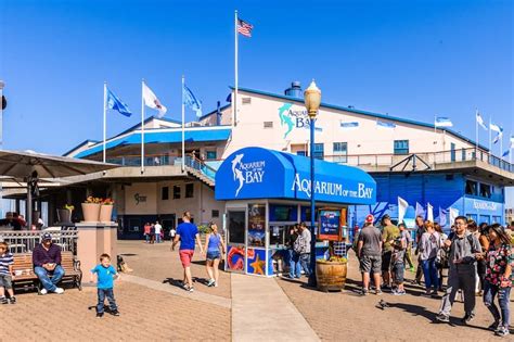 San Francisco Aquarium of the Bay: Hours, Tickets and Attractions