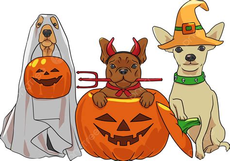 Halloween Costume Dogs, Halloween, Pet, Dogs PNG Transparent Clipart Image and PSD File for Free ...