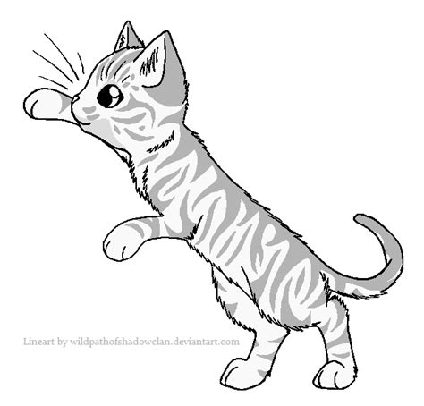 Tabby Cat Drawing at GetDrawings | Free download