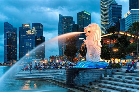 360+ Night View Of Merlion Fountain In Singapore Stock Photos, Pictures & Royalty-Free Images ...