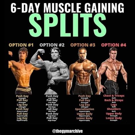 The Ultimate 6 Day Workout Split for Building Muscle & Strength | Workout splits, Muscle ...