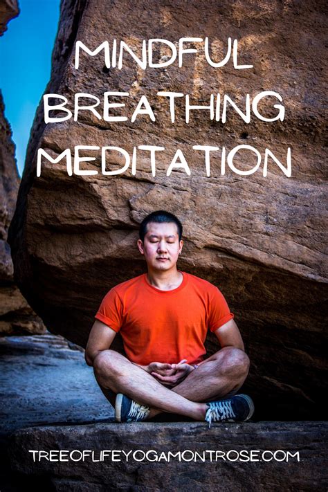 Mindful Breathing Meditation | Tree of Life Yoga and Wellness