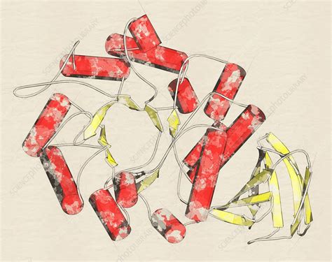 Alpha-galactosidase enzyme molecule, illustration - Stock Image - F019/2166 - Science Photo Library