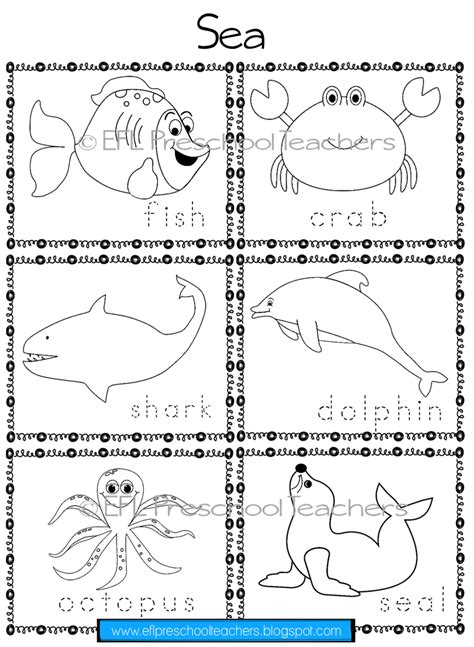 Sea Animals Worksheets For Kindergarten