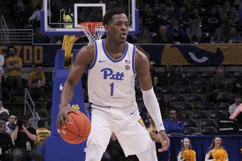 Pitt basketball to prevail in battle of the big cats - The Pitt News