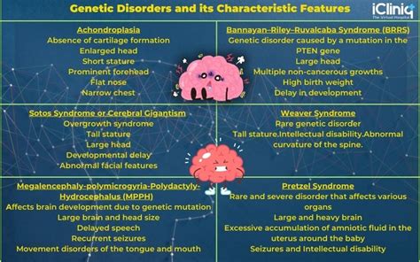 What Is Megalencephaly?