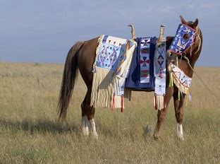 When Did Native Americans Get Horses