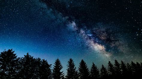 Download wallpaper 1366x768 night in wood, galaxy, starry sky, nature, tablet, laptop, 1366x768 ...