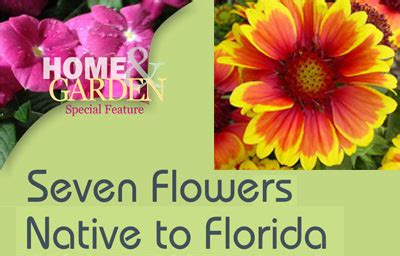 Seven Flowers Native to Florida | Hotspots! Magazine