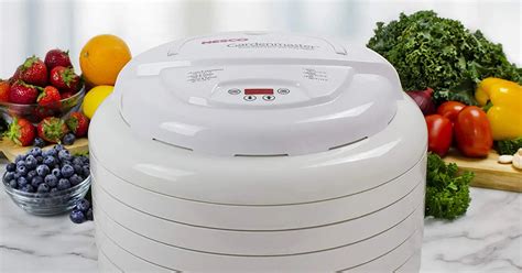 The Many Benefits of Having a Food Dehydrator - southreport