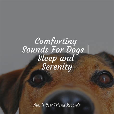 Comforting Sounds For Dogs | Sleep and Serenity - Album by Jazz Music for Dogs | Spotify