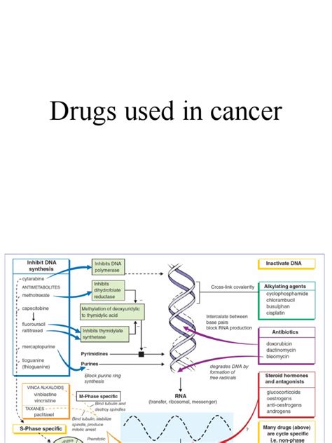 Drugs Used in Cancer | Download Free PDF | Chemotherapy | Cancer