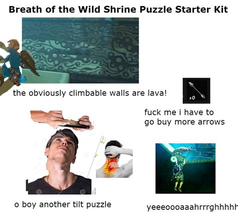 Breath of the wild shrine puzzle starter kit : r/Breath_of_the_Wild