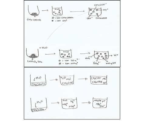 Salt hydrolysis process. | Download Scientific Diagram