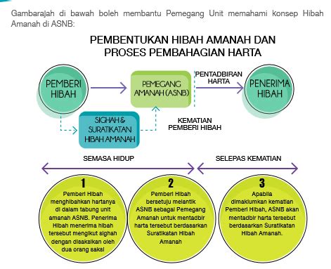 Hibah Amanah Di ASNB | cik sukα taip