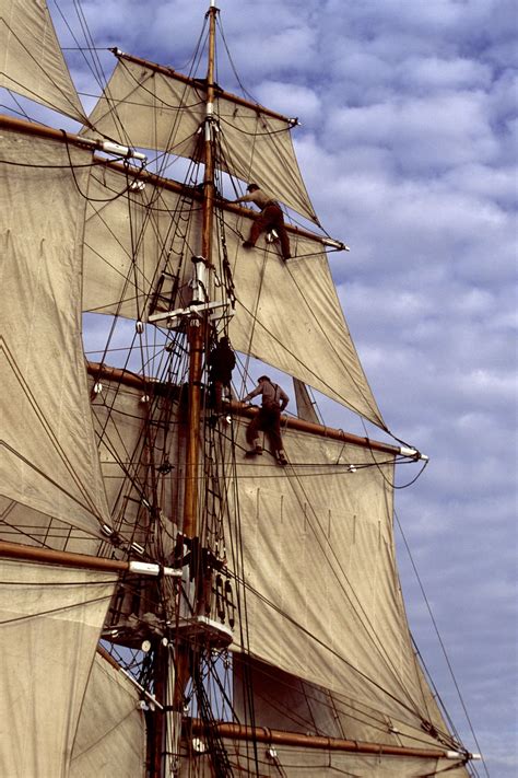 Crew in rigging of tall ship | Sailing ships, Tall ships, Old sailing ships