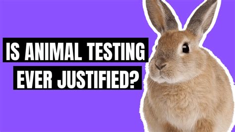 Animal Testing Pros and Cons: Exploring the Ethical and Scientific ...