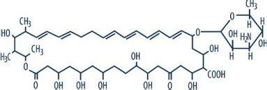 Nystatin Cream: Package Insert / Prescribing Information - Drugs.com