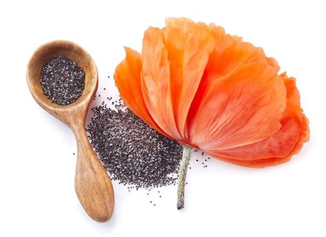 Premium Photo | Poppy seeds with flower in closeup