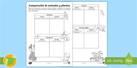 Ficha de actividad: Comparación entre animales y plantas