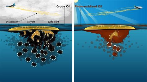 The Deepwater Horizon Oil Spill – Woods Hole Oceanographic Institution