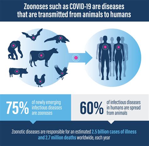 What are zoonotic diseases - and how dangerous are they?