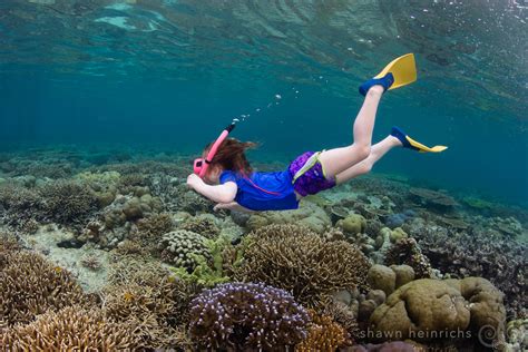 snorkel adventures — Misool