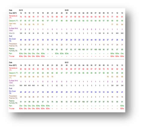 Hourly Weather Forecast Information