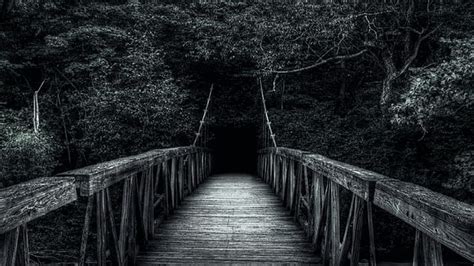 Wood Bridge Between Green Trees Forest Dark Background Dark, HD ...